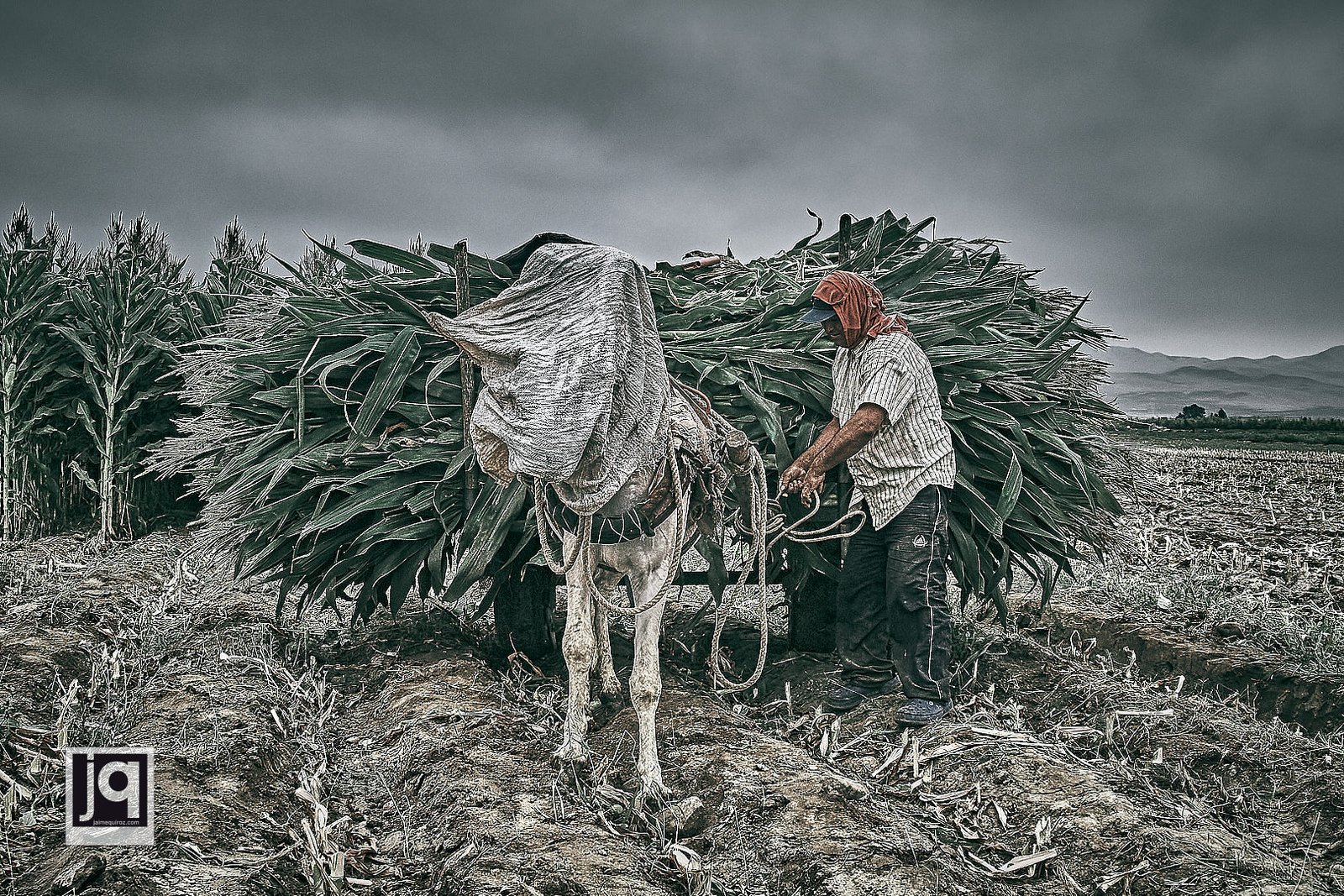 Peru Miradas - 