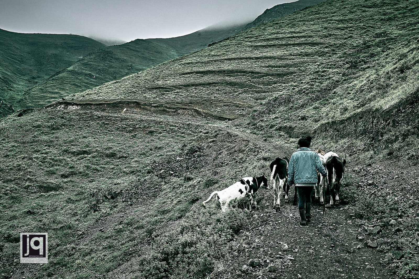 Peru Miradas - 