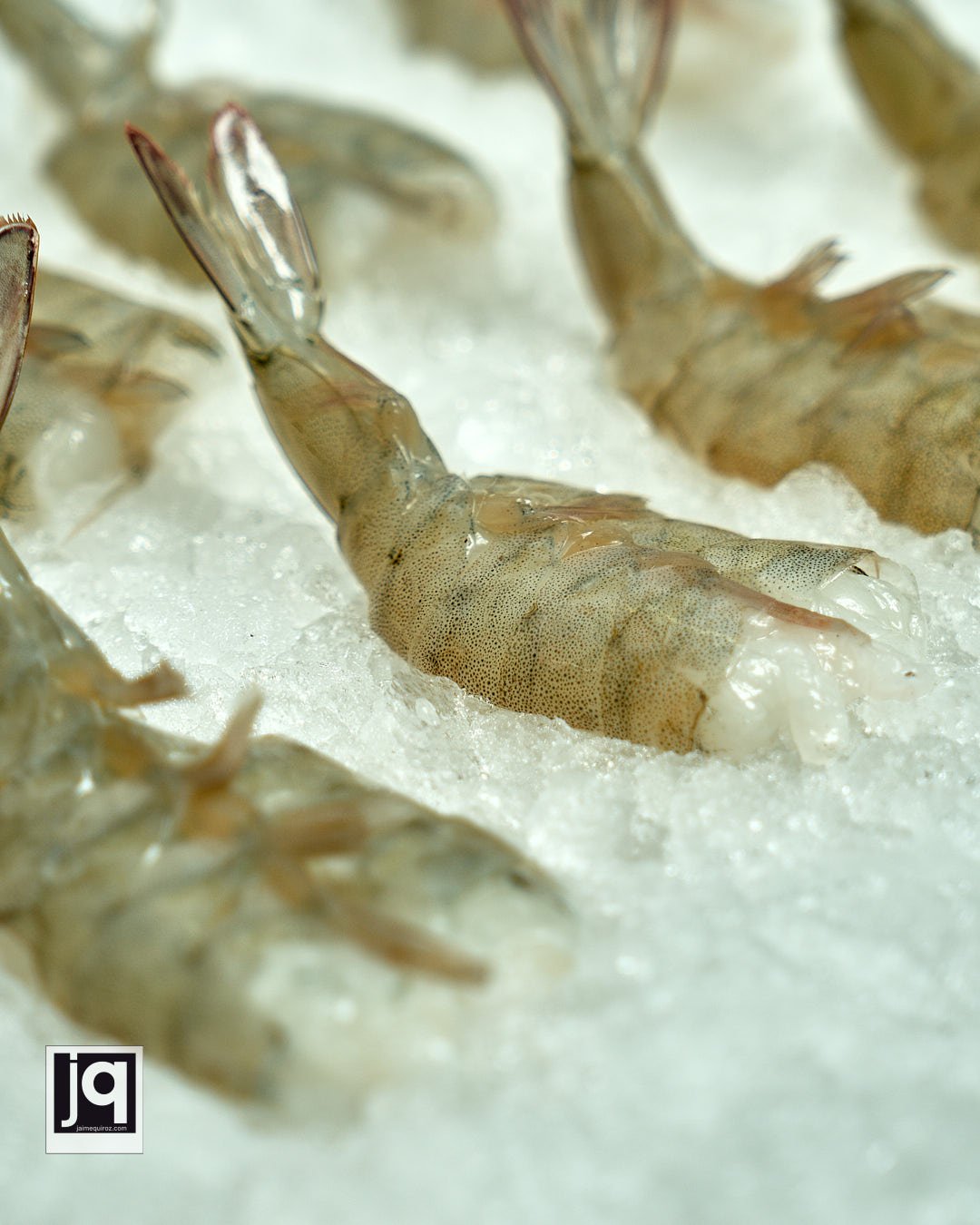 Fotografía de alimentos