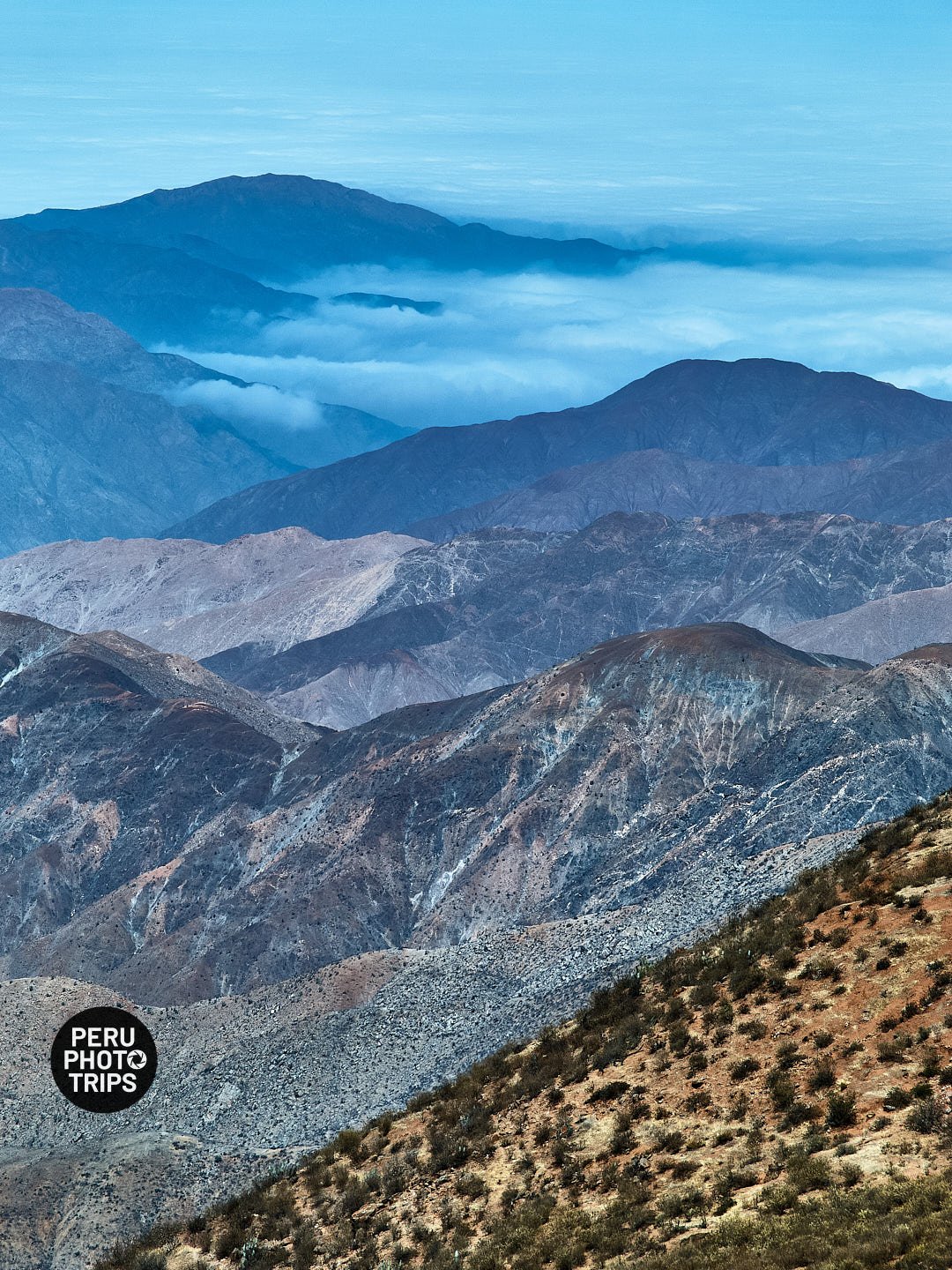 Peru Nature - Andes of Lima