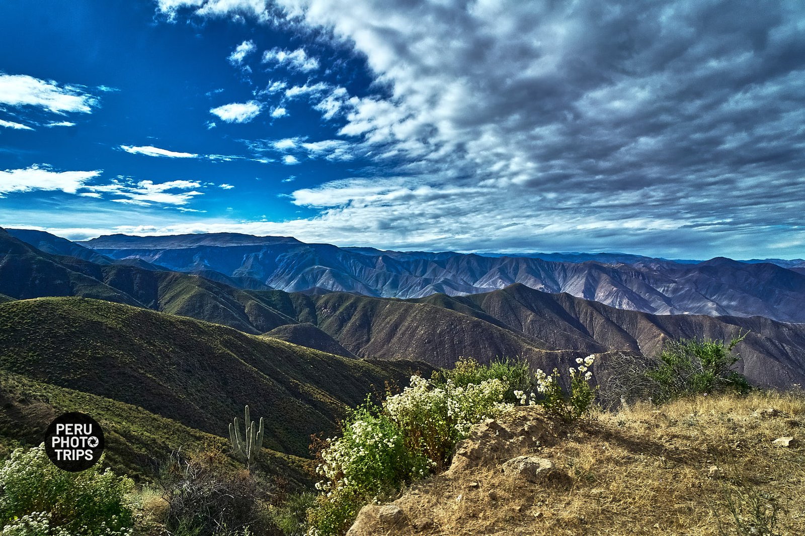 Peru Nature - Andes of Lima