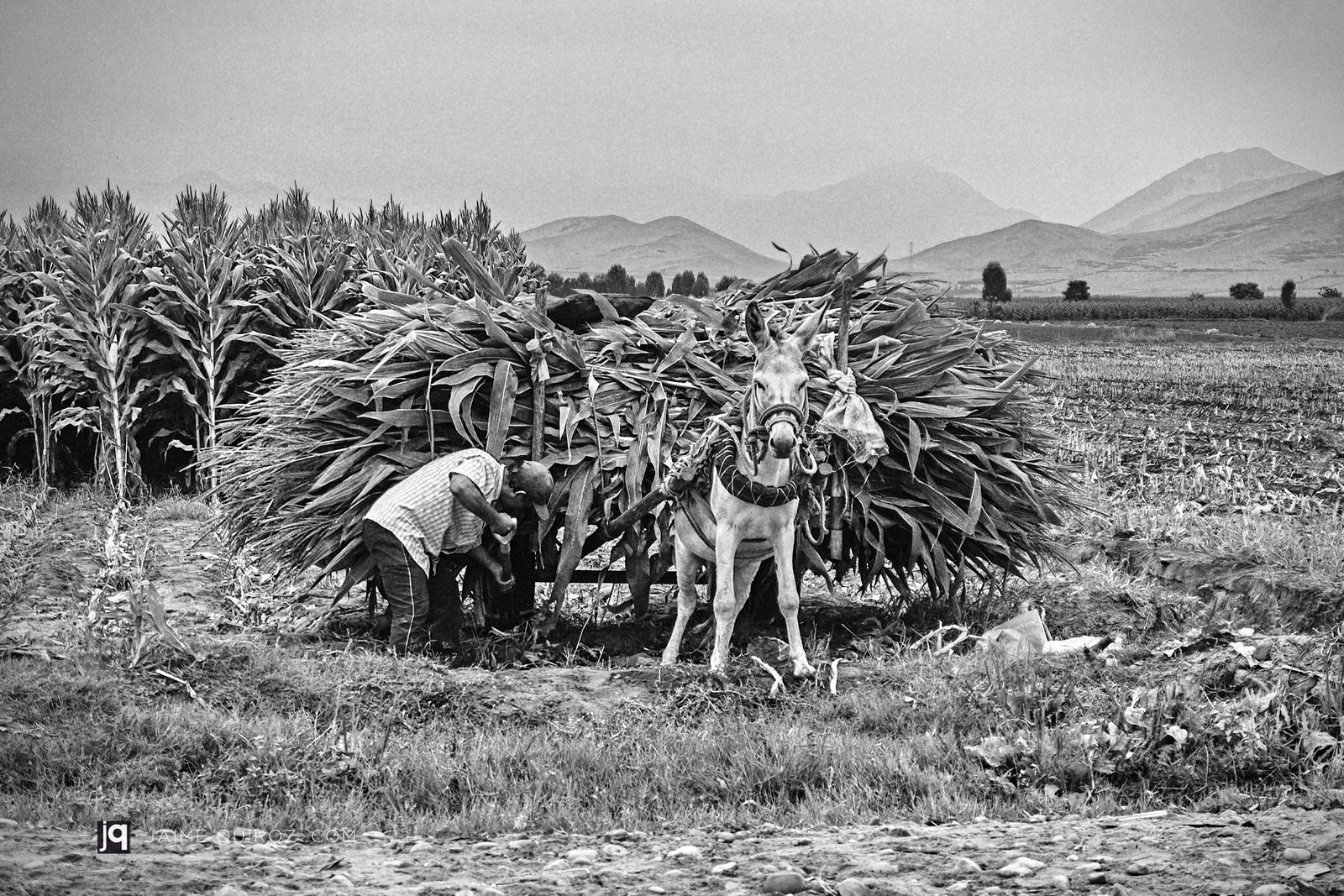 Supe Valley, Lima. Peru People