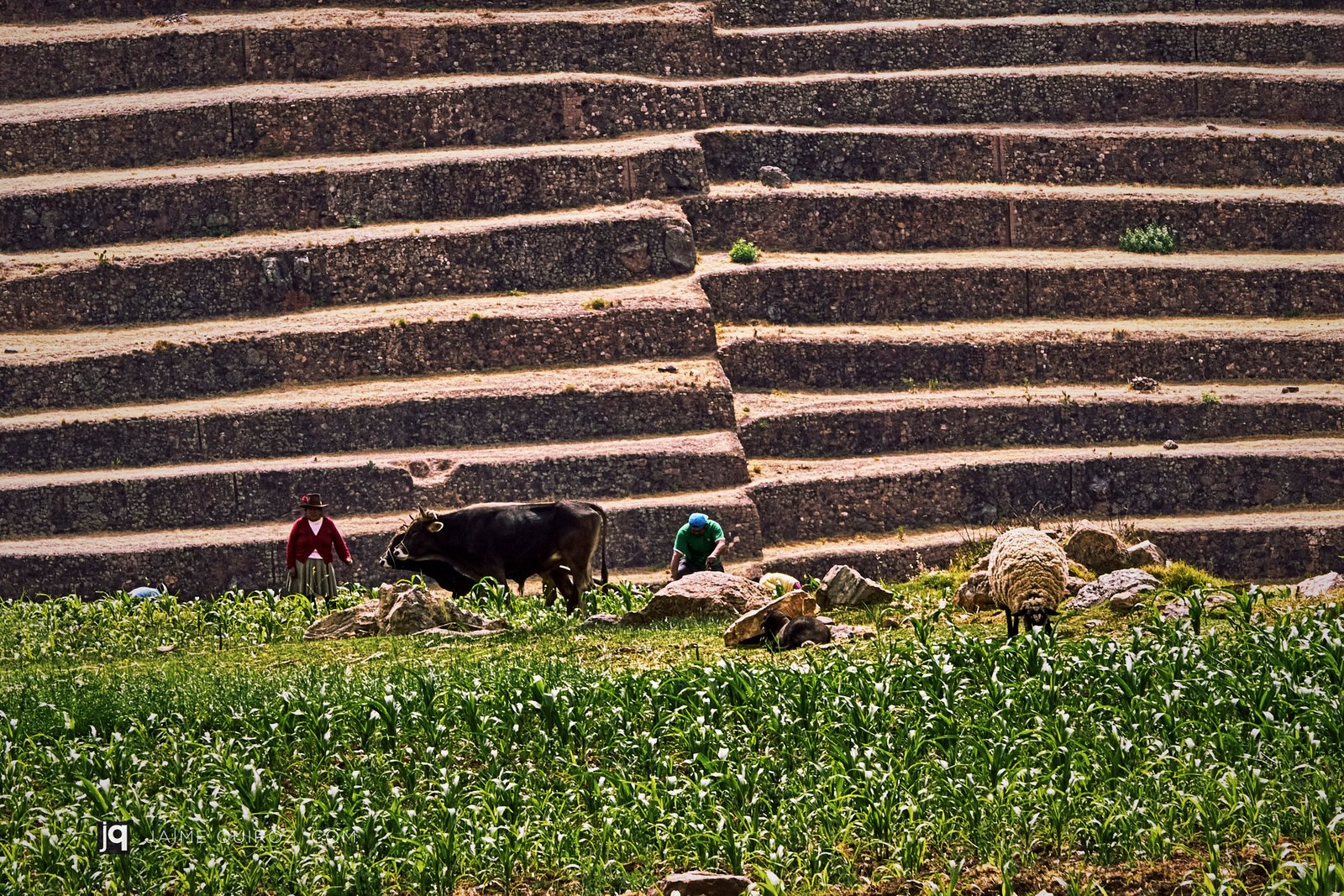 Pisac, Cusco. Peru Landscapes and Nature
