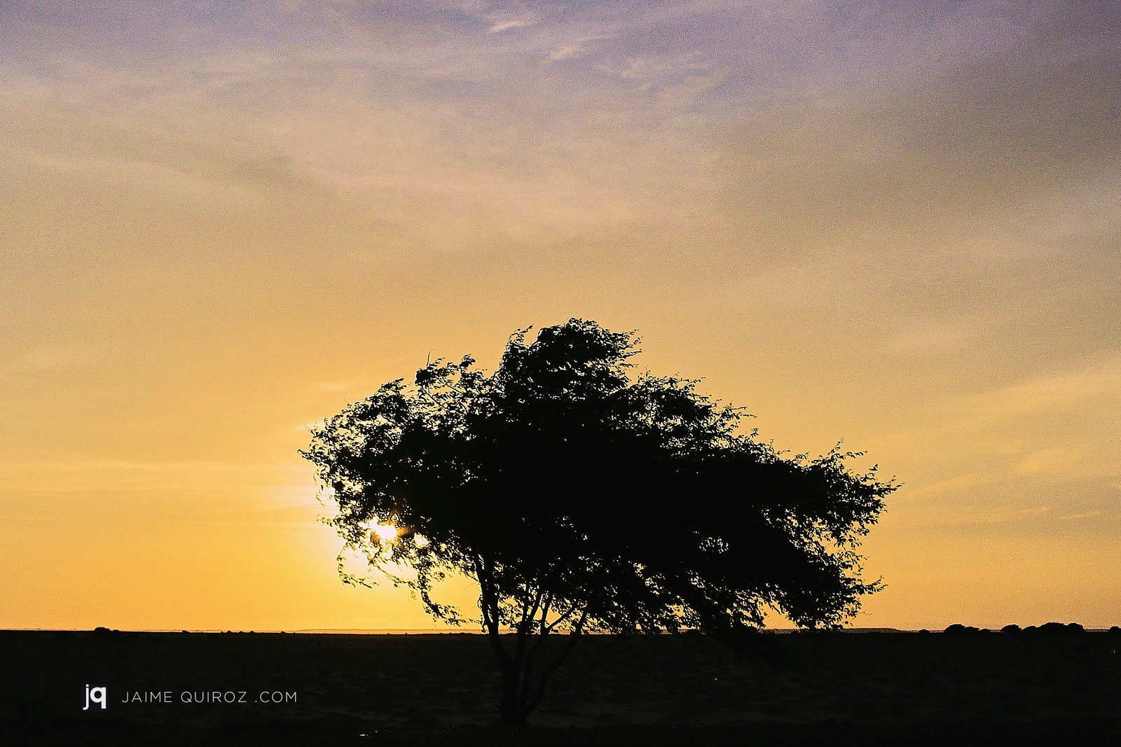 Sechura, Piura. Peru Landscapes and Nature