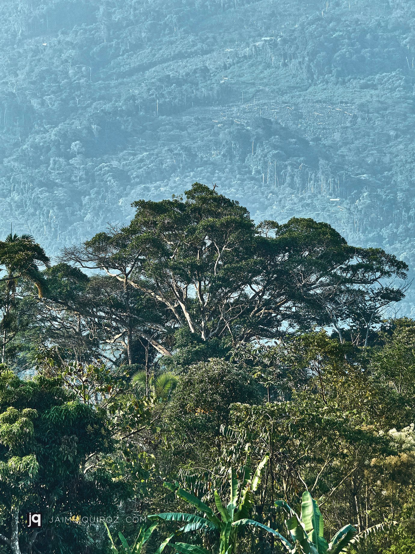 Tarapoto, San Martin. Peru Landscapes and Nature