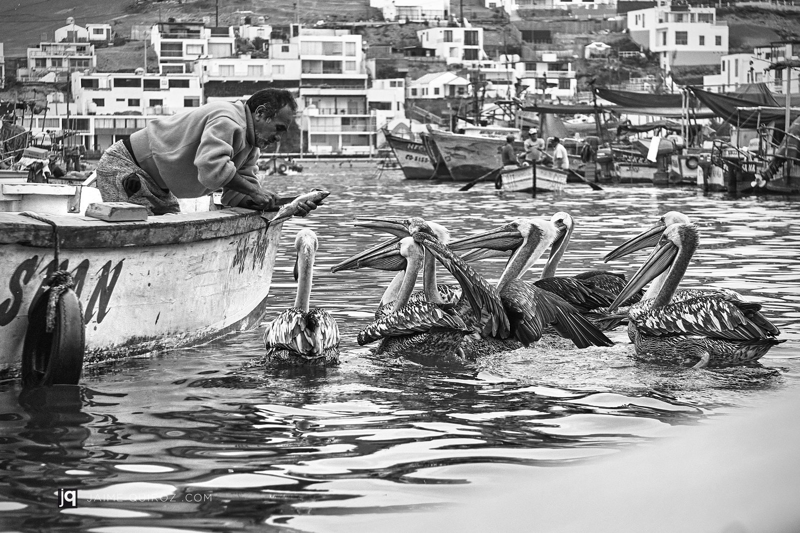 Pucusana Bay, Lima. Peru People